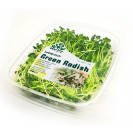 Green Radish 50gr